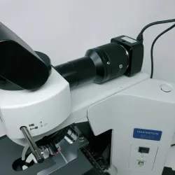 Olympus BX41 Microscope with 2x Objective and 10 MP Digital Camera, 9 of 11