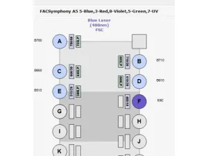 BD FACSymphony X-50 Five-Laser Multiparameter Flow Cytometer with HTS Sampler & Supply System, 7 of 30