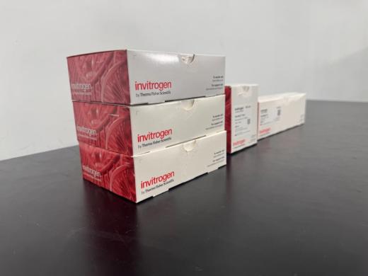 Invitrogen DynaMag Magnetic Separation Accessories for Microplates and Tubes-cover