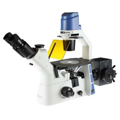 Oxion OX.2253-PLF-cover