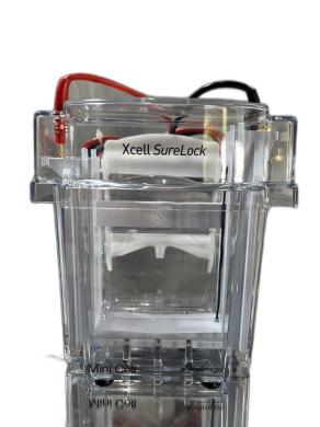 Invitrogen EI0001 XCell SureLock Electrophoresis Mini Cell System-cover