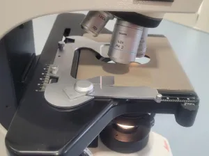 Leica DM2000 Upright Compound Microscope with 3 Infinity-Corrected Objectives, 7 of 12