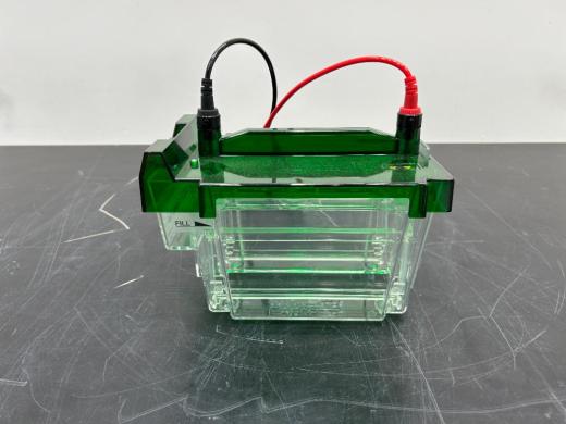 Bio-Rad Criterion Cell Gel Electrophoresis Chamber for Laboratory Applications-cover