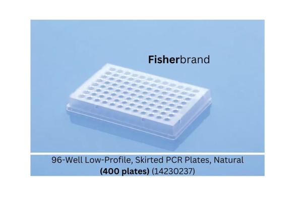 400 x Fisherbrand Skirted PCR Plates, 96-Well Low-Profile, Natural-cover