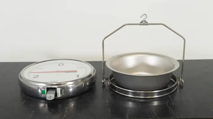 Chatillon 316L Hanging Scale for Precision Force Measurement