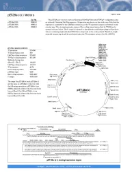 Novagen pET-28a(+), 1 of 2