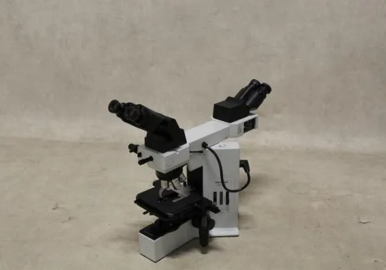 Olympus BX40F4 Clinical Binocular Microscope with Dual Observation Unit U-DO