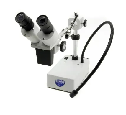 ST-50 Binocular Brightfield Stereomicroscope with 20x Magnification and LED Incident Illumination