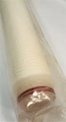 Millipore Polygard CR Cartridge Filter 20" 1.0 µm, Box of 6