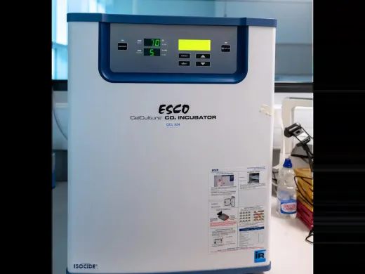 Esco CelCulture 50 L CO₂ Incubator with IR Sensor and Moist Heat Decontamination