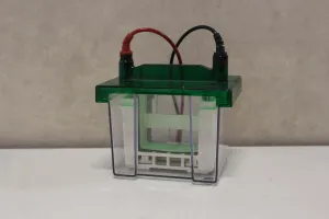 Bio-Rad Mini-PROTEAN 3 Electrophoresis System, 4 of 6