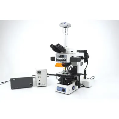 Nikon Eclipse E800 Fluorescence Microscope with DAPI, FITC, TRITC Filter Sets