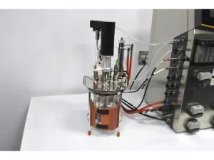 Sartorius Stedim Biostat B Twin Bioreactor with 2-Liter Autoclavable Glass SW Vessels, 17 of 33