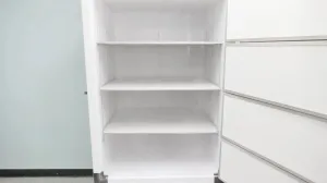 Thermo Scientific TSU400A Upright Ultra-Low Temperature Freezer −85°C Capacity 28.8 cu ft, 6 of 15