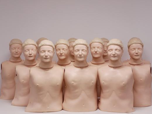 Laerdal Resusci Anne Torso Manikins with Hypaguard Face Shields for CPR Training-cover