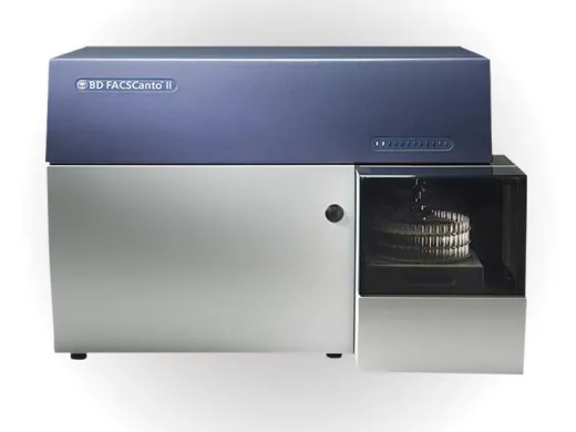 BD Biosciences FACSCanto