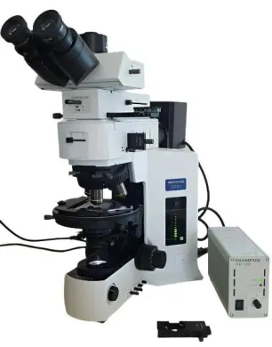 Olympus BX51 Polarizing Reflected Light Microscope with Trinocular Head