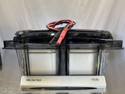 Invitrogen A25977 Mini Gel Tank - Excellent Condition, Lab Equipment-cover