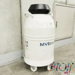 MVE SC20/20 Liquid Nitrogen Storage Dewar with Five Canisters and Casters, 2 of 6