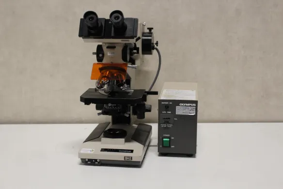 Olympus BH-2 Transmitted Light Fluorescence Microscope with Halogen and Fluorescence Illumination
