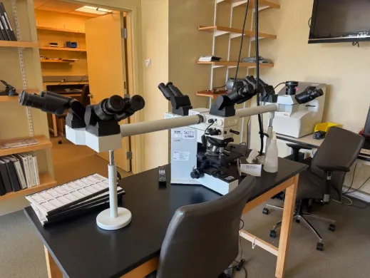 Olympus BX50F4 Optical Training Microscope with Dual Viewing Heads and Mechanical Stage