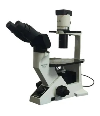 Olympus CK40 Phase Contrast Tissue Culture Microscope