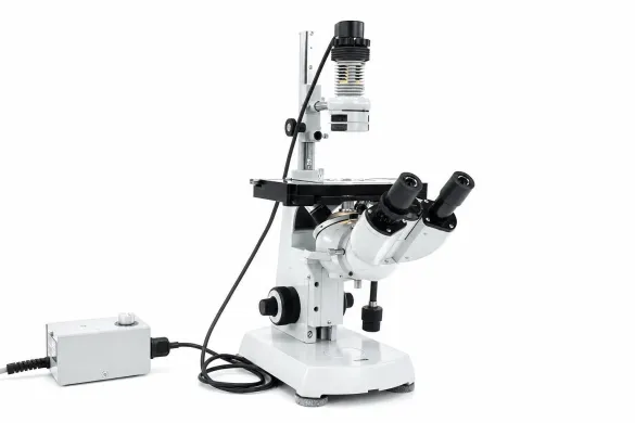 Zeiss Invertoscope D Inverted Microscope 471281-9900/01 with 5x, 10x, and 40x Objectives