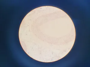 Leica DMIL 090-131-00.1 Inverted Biological Microscope with 3 Objectives, 14 of 15