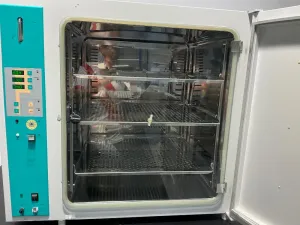 Thermo Scientific BBD 6220 Laboratory Drying Oven with Precise Temperature Control up to 180°C, 3 of 4