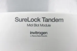 Thermo Fisher SureLock Tandem Midi Wet Transfer Blot Module for Western Blotting, 10 of 11