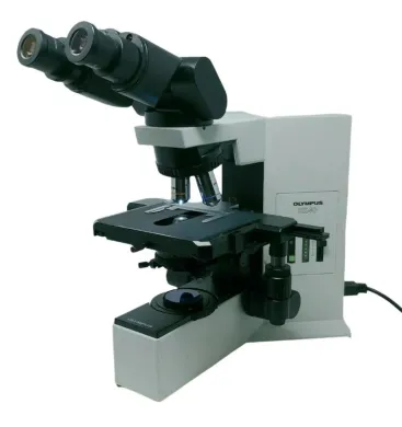 Olympus BX40 Compound Microscope with Tilting Binocular Head