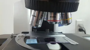 Olympus BX41 Compound Microscope with 2X Multihead Teaching System (3 Heads), 4 of 7