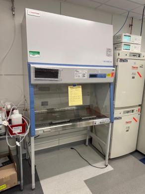 Thermo Fisher Scientific 1300 Series A2 Model 1385 Class II Type A2 Biosafety Cabinet 4'-cover
