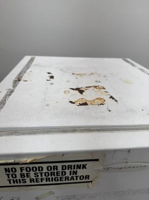 Electrolux FFU09KOFWO Free-Standing Commercial Freezer with Wire Shelves-cover