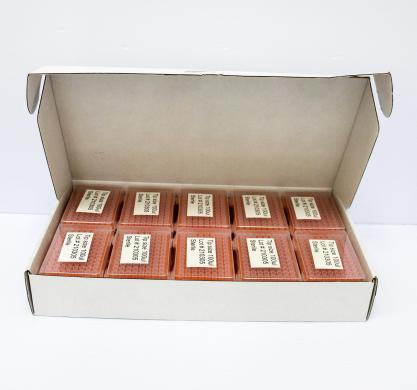 Thomas Scientific Lot210305 Universal 100 µL Molecular Biology Filter Pipette Tips-cover