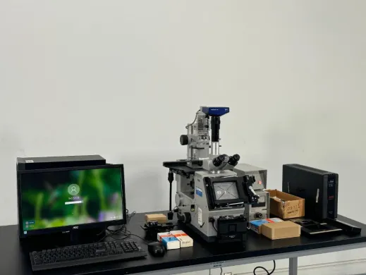 Zeiss Large Transmitted Light Research Microscope for Advanced Laboratory Imaging
