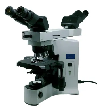 Olympus BX41 Dual Head Teaching Microscope with 2X Front-to-Back Bridge