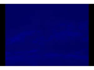 Olympus BX51 Upright Fluorescence Microscope with Mechanical Stage and Advanced Imaging Capability, 9 of 16
