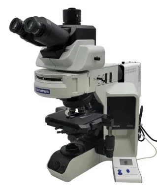 Olympus BX43 Upright Fluorescence Microscope with CoolLed pE-300 LED Illumination