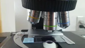 Olympus BX41 Compound Microscope with 2X Multihead Teaching System (3 Heads), 3 of 7