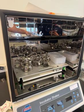 Crystal IS-RSDAA Benchtop Incubator Shaker for Precise Temperature and Agitation Control-cover