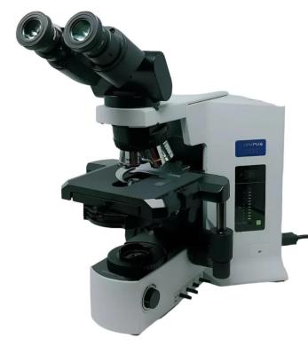 Olympus BX51 Microscope with Phase Contrast and Tilting Binocular Head-cover