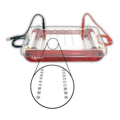 Hoefer SUBHT High Throughput Submarine Gel Electrophoresis Unit-cover