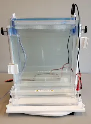 CBS Scientific 2148 PAGE Gel Station, 33 cm, 1 of 12