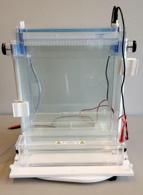 CBS Scientific 2148 PAGE Gel Station, 33 cm