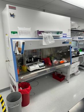 Thermo 1300 Series A2 6-foot Class II Biosafety Cabinet for Containment and Sterile Workflows-cover