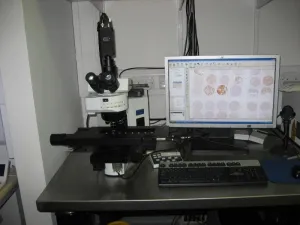 Leica TCS SP2 AOBS, 6 of 6