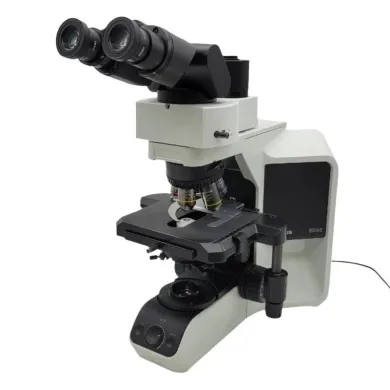 Olympus BX43 Fluorescence Upright Microscope with Tilting Binocular Head and Phototube