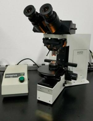 Olympus BX50 Upright Microscope with Water Immersion and DIC-cover