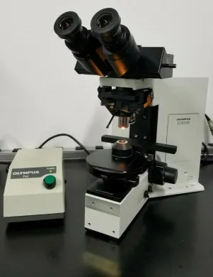 Olympus BX50 Upright Microscope with Water Immersion and DIC
